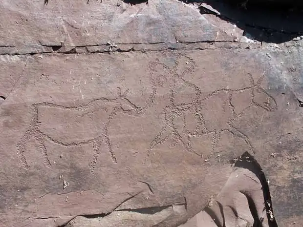 Археологи рассказали о найденных в Красноярском крае наскальных изображениях мифических чудовищ