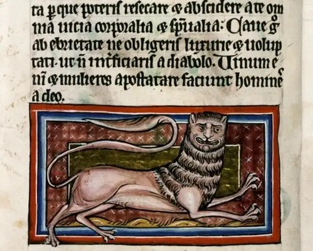 Как в средневековой Европе изображали животных, которых никогда не видели