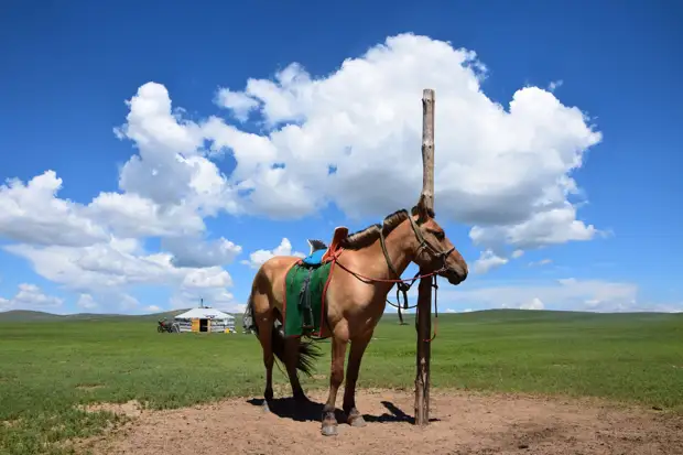 Монгол без лошади, как птица без крыльев