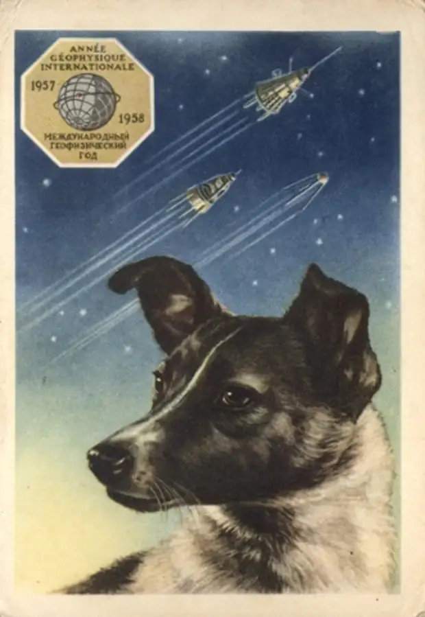 Советские собаки - космонавты в картинках