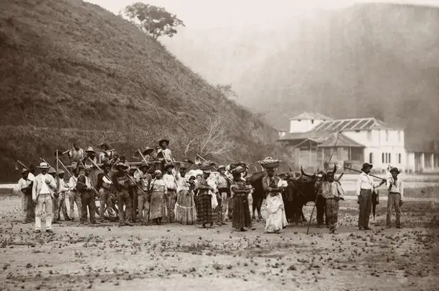 Рабы на кофейной ферме в Рио де Жанейро, Бразилия, 1885 год (Instituto Moreira Salles) 