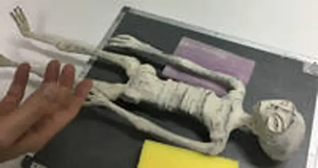 Целых 5 мумий «пришельцев» из Перу. Экспертиза АНТРОПОГЕНЕЗ.РУ