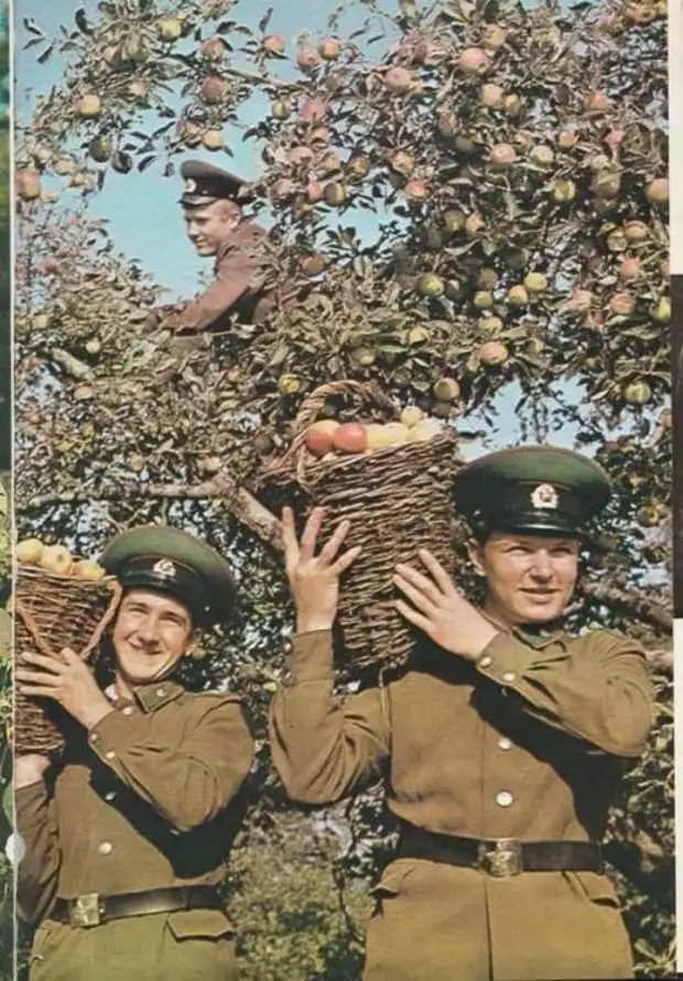 Советские пограничники (38 фото)