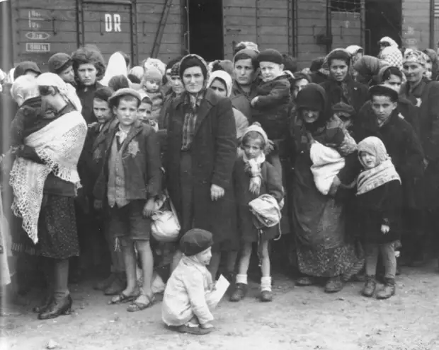 Венгерские евреи у поезда после прибытия в концлагерь Освенцим.