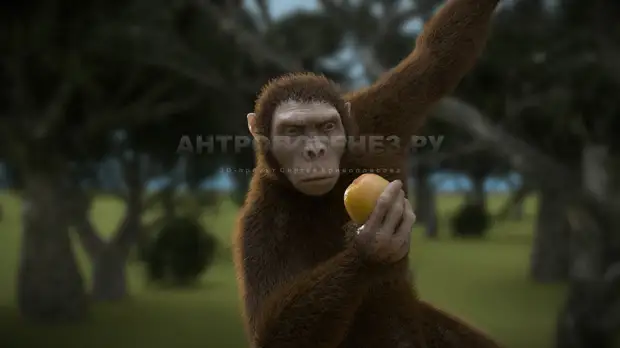Эволюция от обезьяны к человеку