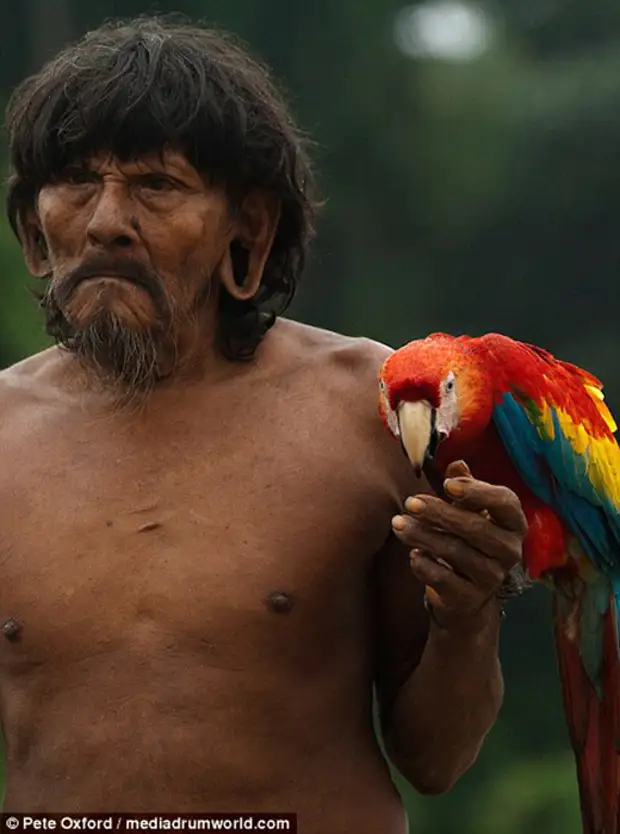 Мужчина с попугаем ара