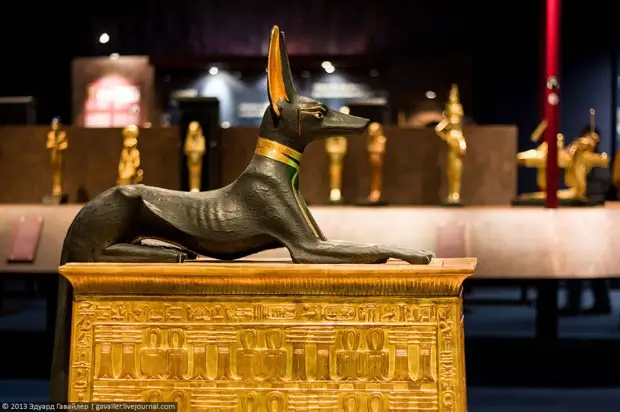 Статуя Анубиса из гробница Тутанхамона. Новое царство, XVIII династия. (с) Фото — Эдуард Гавайлер