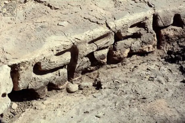 Подтверждена сенсационная находка археологов: «Письменность в Грузии появилась 3000 лет назад»