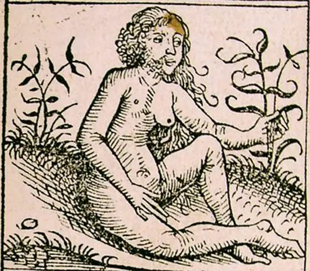 Иллюстрации к нюренбергской хронике 1493 года