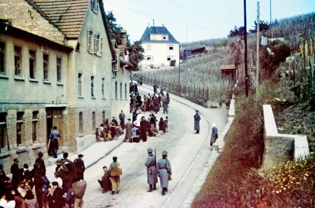 Геноцид цыган в гитлеровской Германии