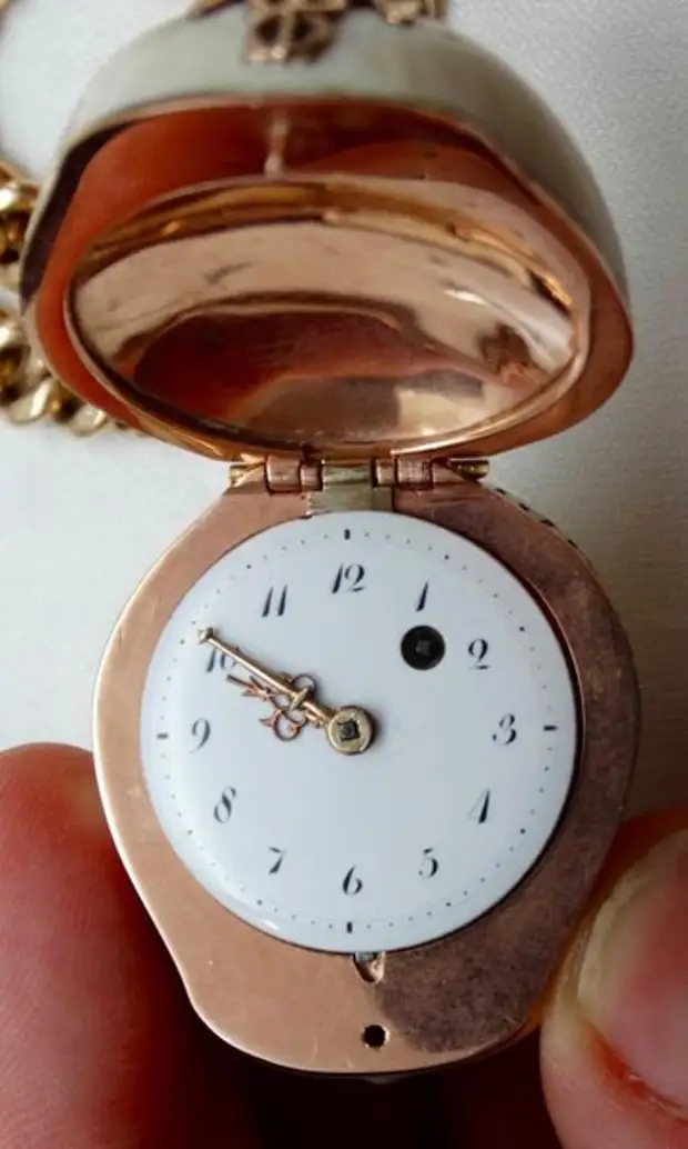 Карманные часы, принадлежавшие французскому доктору, с надписью на латыни: "Memento Mori,Tempus Fugit 1809" (Помни о смерти, время летит). Франция, 1809 год.