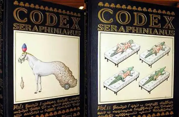 Codex Seraphinianus - cамая странная энциклопедия.