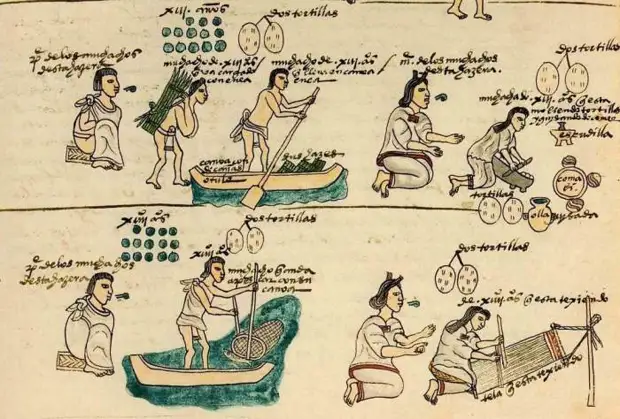 обучение детей доманему труду. Иллюстрация из Кодекса Мендоса.
