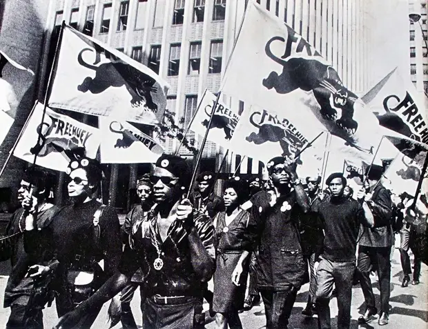 Социальные конфронтации в США 1960-х - 1970-х годов: Леворадикальная Партия черных пантер   (34)