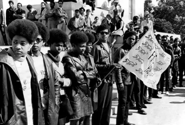 Социальные конфронтации в США 1960-х - 1970-х годов: Леворадикальная Партия черных пантер   (27)
