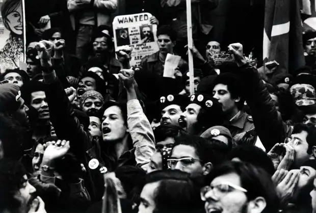 Социальные конфронтации в США 1960-х - 1970-х годов: Леворадикальная Партия черных пантер   (33)