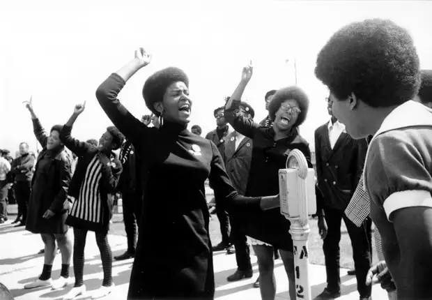 Социальные конфронтации в США 1960-х - 1970-х годов: Леворадикальная Партия черных пантер   (20)
