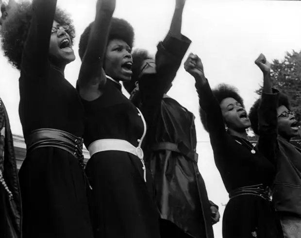 Социальные конфронтации в США 1960-х - 1970-х годов: Леворадикальная Партия черных пантер   (8)
