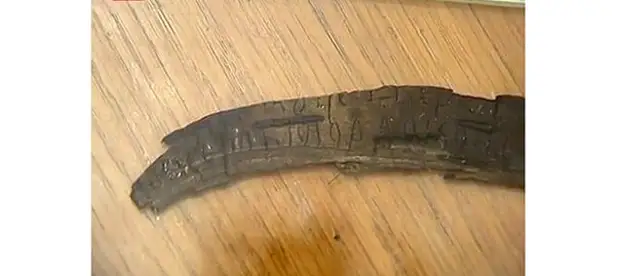 Первые берестяные грамоты сезона 2014 г. Археологи нашли древнерусский ценник из бересты