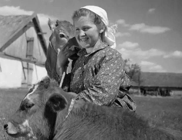 Девочка с коровой и теленком. Моя бабушка Галя, еще маленькая, во время войны помогала матери, которая была в колхозе телятницей.
