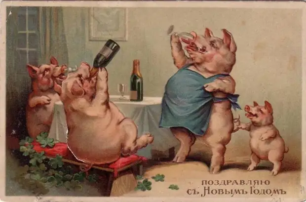 Дореволюционные новогодние открытки с поросятами