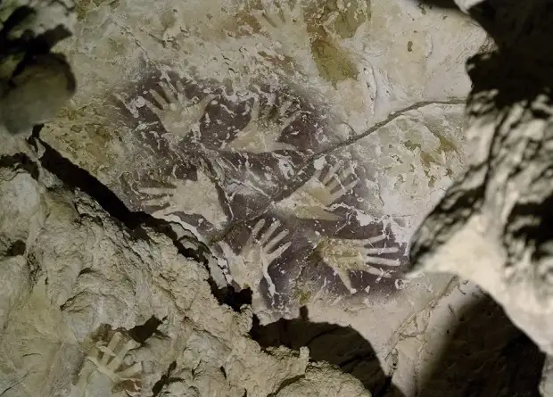 Древнейшее в мире изображение животного найдено в пещере на острове Борнео