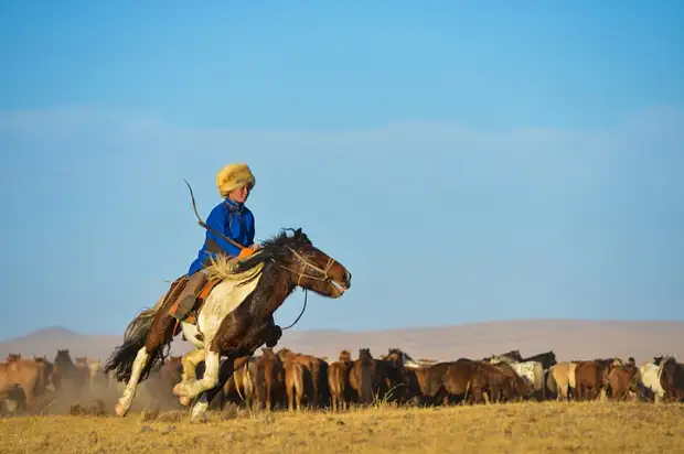 Монгол без лошади, как птица без крыльев