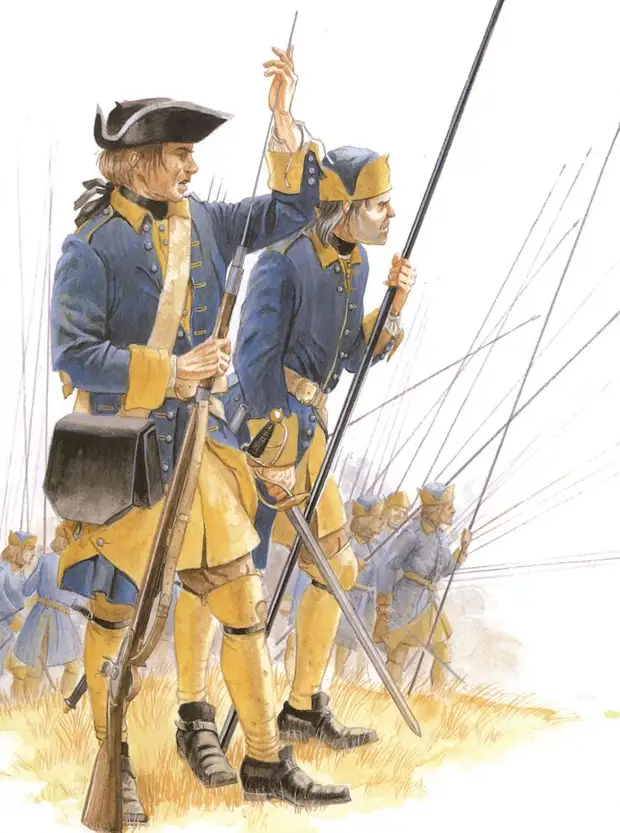 Пикинеры в армии Карла XII были явным рудиментом ушедшей эпохи и ко времени Полтавского сражения в 1709 году исчезли из больишнства европейских армий