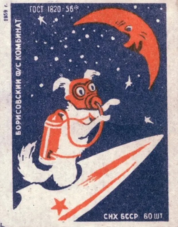 Советские собаки - космонавты в картинках