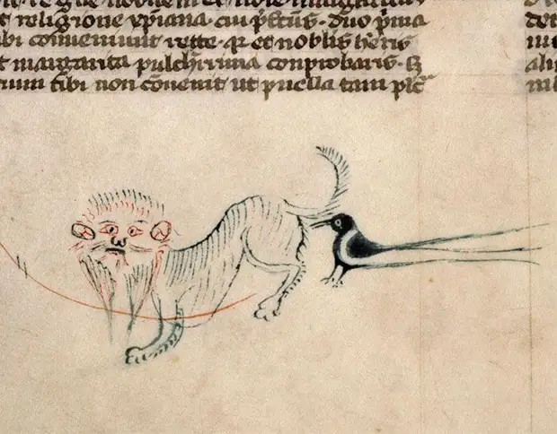 Средневековые представления о котах