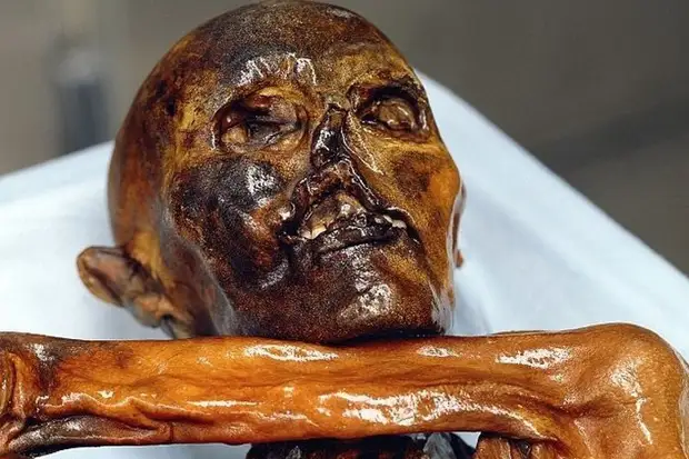 Загадки древнего европейца: 10 фактов о ледяной мумии Эци, возраст которой 5300 лет