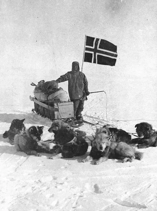 Руаль Амундсен с ездовыми собаками, 14 декабря 1911 года