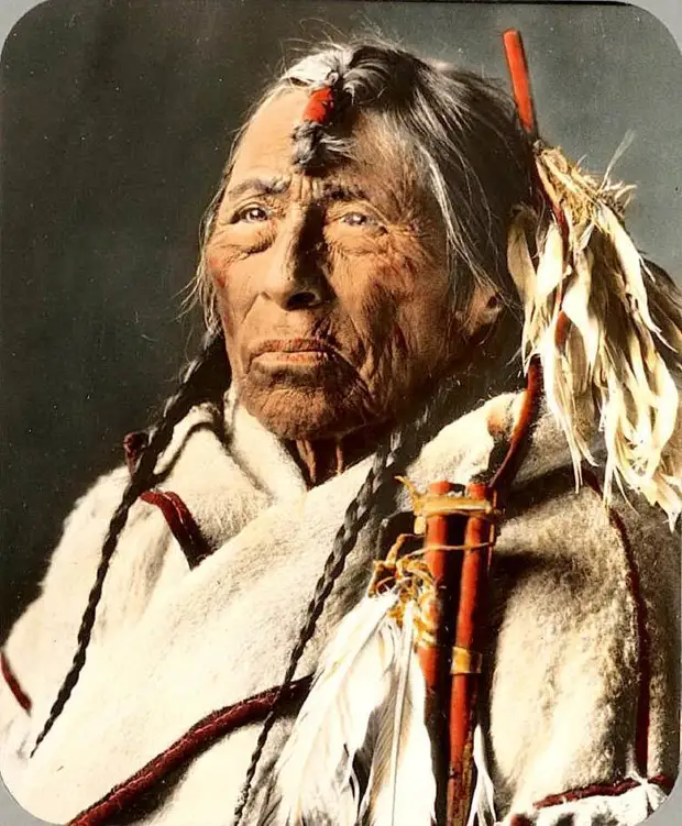 native-american-eagle-arrow.jpg