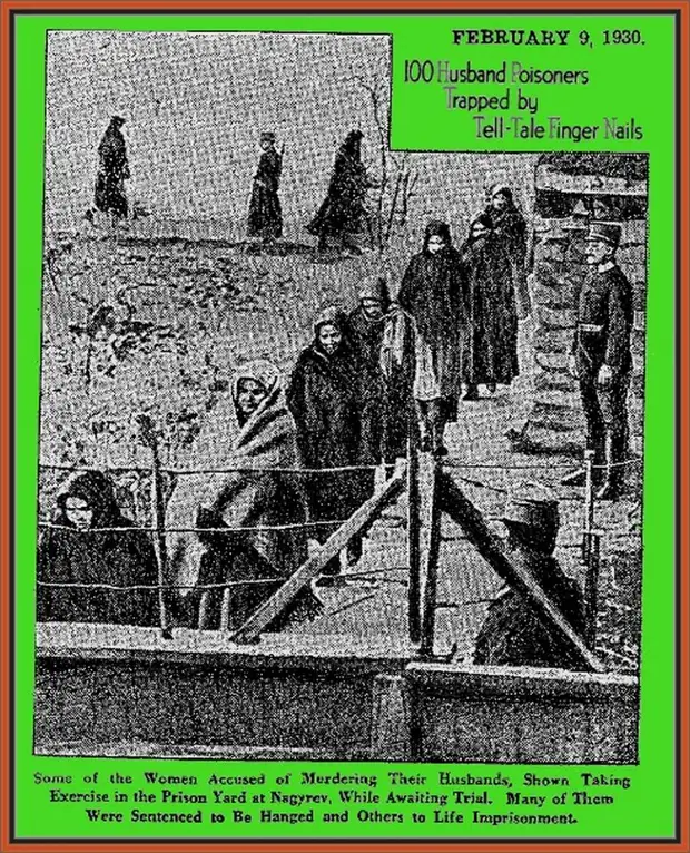 Венгерские ведьмы: женский криминальный синдикат 1914 - 1929 гг.