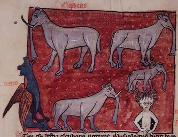 Изображение слона в средневековой миниатюре.