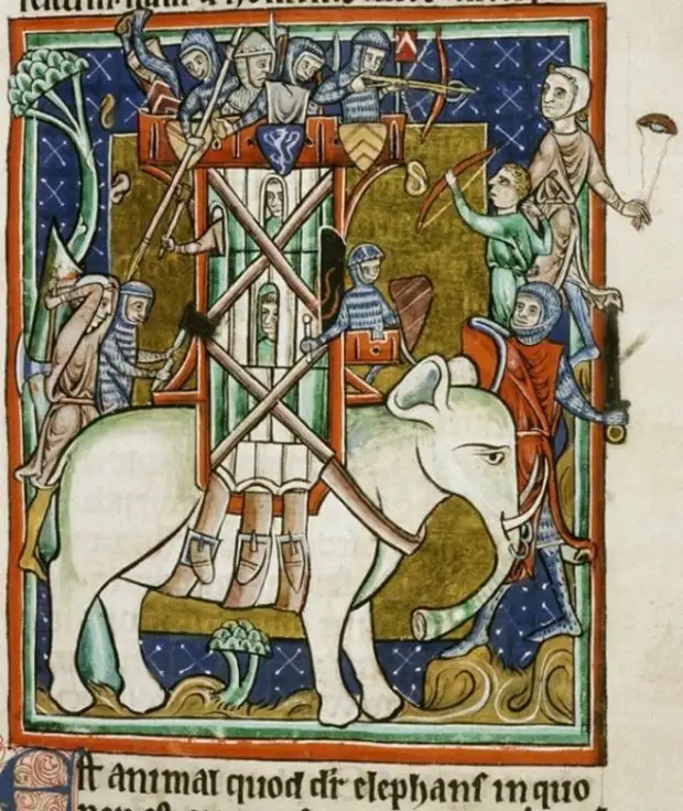 Изображение слона в средневековой миниатюре.