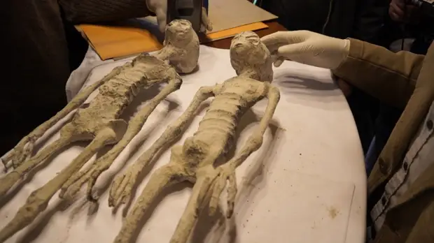 Целых 5 мумий «пришельцев» из Перу. Экспертиза АНТРОПОГЕНЕЗ.РУ