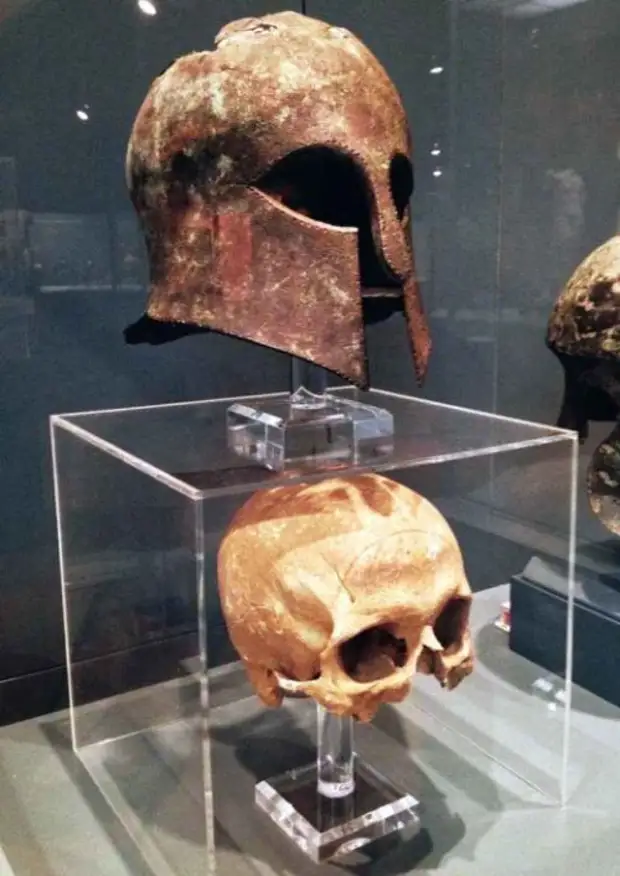 Останки воина-гоплита, павшего в бою, стали музейным экспонатом (4 фото)