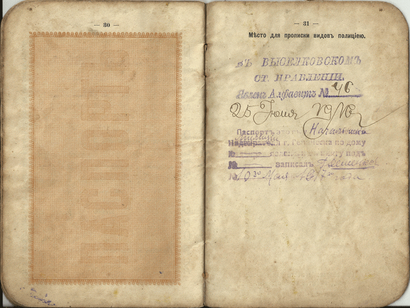Паспортная книжка  Российской империи.