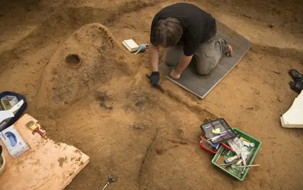 Археологи обнаружили в Гнёздове деревянный щит