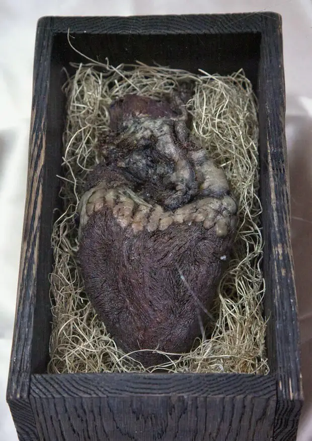 Сердце норвежского гиганта в дубовом руническом ларце V века