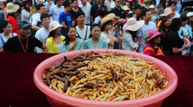 Съешь, если сможешь: конкурс по поеданию насекомых в Китае