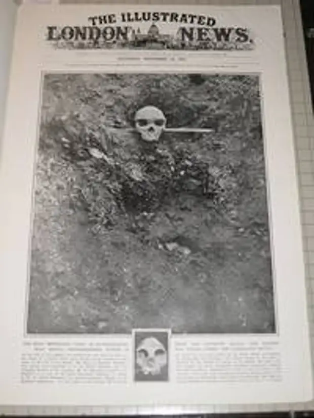 Титульный лист The Illustrated London News от 19 ноября 1921 г с фото родезийского черепа на месте находки (вверху) и черепа неандертальца из Гибралтара (внизу)
