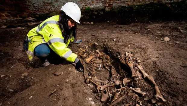 Свинья в гробу и яма с черепами: археологи нашли древнейшее культовое место Великобритании
