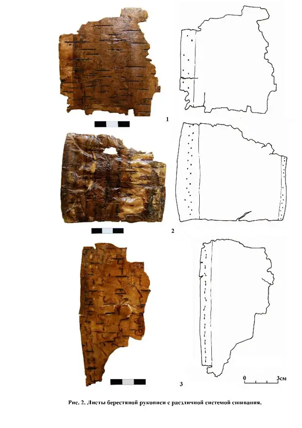 Золотоордынская рукопись на берёсте