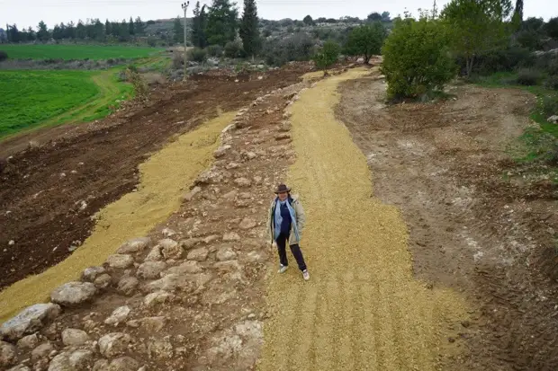 В Израиле открыли древнеримскую дорогу
