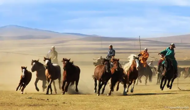 Подборка красивых и познавательных видео посвященных искусству верховой езды монгол.