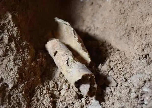 Израильские археологи нашли разграбленное хранилище кумранских свитков