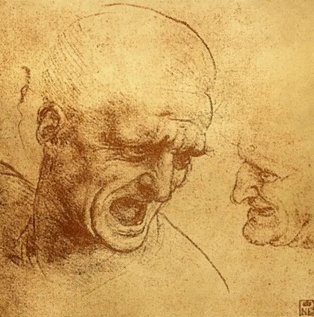 Рисунки Леонардо да Винчи.