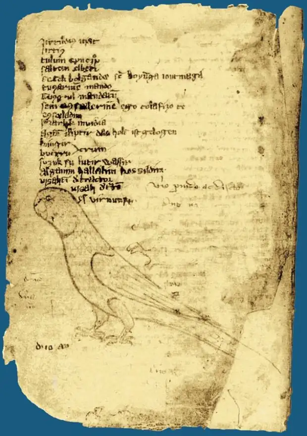«Кодекс Куманикус» - известная письменная памятка Куманского (старо-кипчакского) языка начала XIV века.